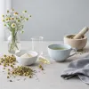Apigénine : le flavonoïde de la camomille qui séduit les chercheurs du sommeil