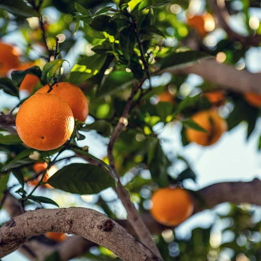 Les bienfaits des décontractants musculaires naturels