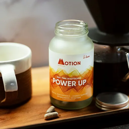 Tout savoir sur la feuille de ginko : atouts et usages pour le cerveau