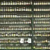 Complément alimentaire en pharmacie : repères fiables pour booster ses capacités cognitives