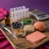 Régime MIND et prévention cognitive : ce que 10 ans de données montrent vraiment