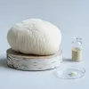 Hericium lion’s mane : le champignon nootropique qui intrigue les neurosciences