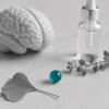 Vitamine C liposomale : un allié ciblé pour le cerveau et les nootropiques naturels